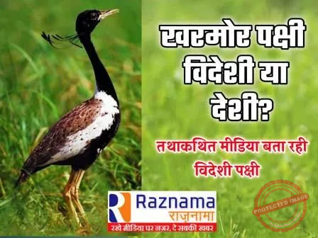 Kharmor bird Some media are telling foreigners then Bombay Natural History Society is completely Indian