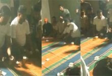 Watch the jugalbandi of BJP leader and journalist Video of liquor and gambling goes viral